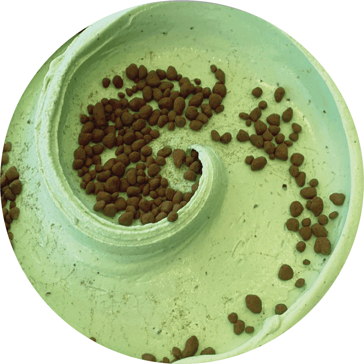 Mint chocolate chips